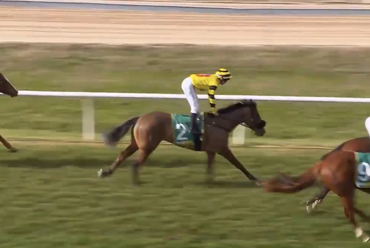 MagnumParkFarm's tweet photo. 🏇 Tempt The Gods makes it back-to-back wins, taking out the 2YO Jack Maher Classic over 1204m at Kilmore! A tough, stylish victory for the Levendi x Hidden Charm gelding.

👏 Congrats to Christopher Grace, Patrick Kearney, Jake Duffy &amp; all involved. #Levendi #StallionWatch https://t.co/zmzU0lm4oz