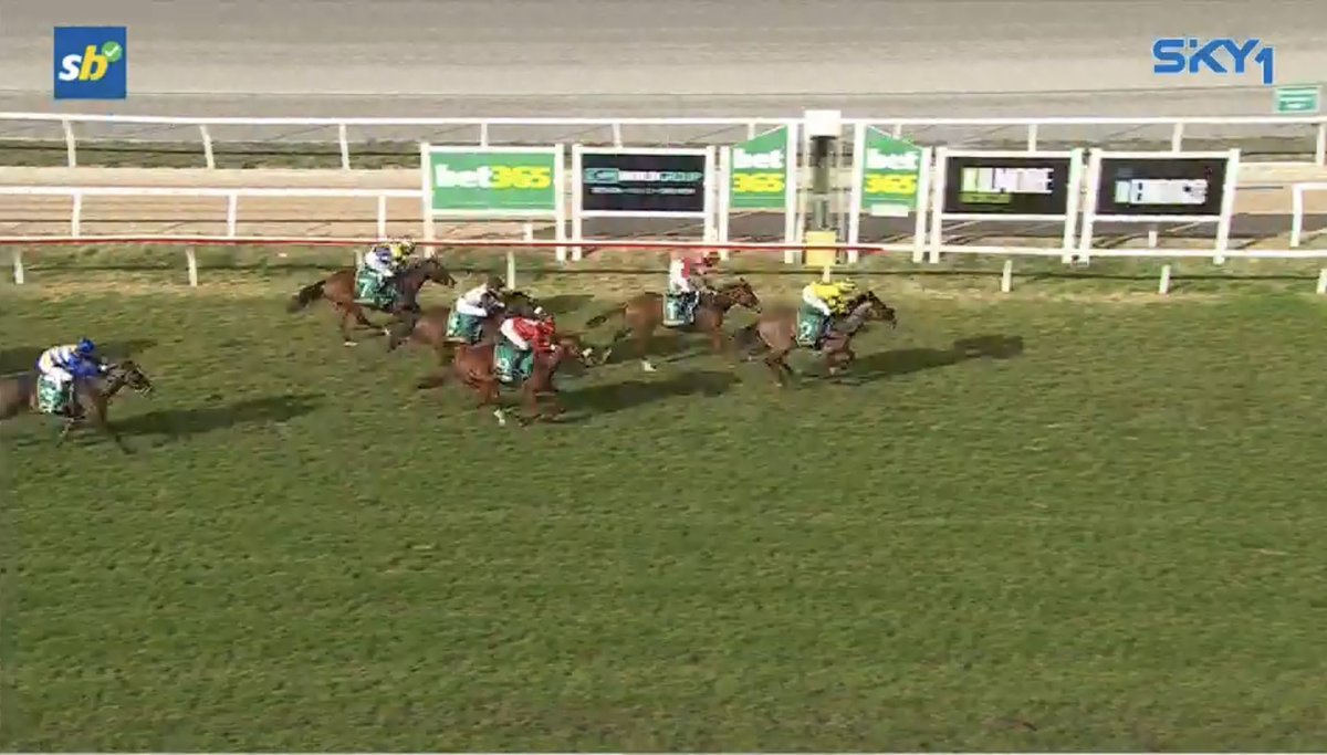 MagnumParkFarm's tweet photo. 🏇 Tempt The Gods makes it back-to-back wins, taking out the 2YO Jack Maher Classic over 1204m at Kilmore! A tough, stylish victory for the Levendi x Hidden Charm gelding.

👏 Congrats to Christopher Grace, Patrick Kearney, Jake Duffy &amp; all involved. #Levendi #StallionWatch https://t.co/zmzU0lm4oz