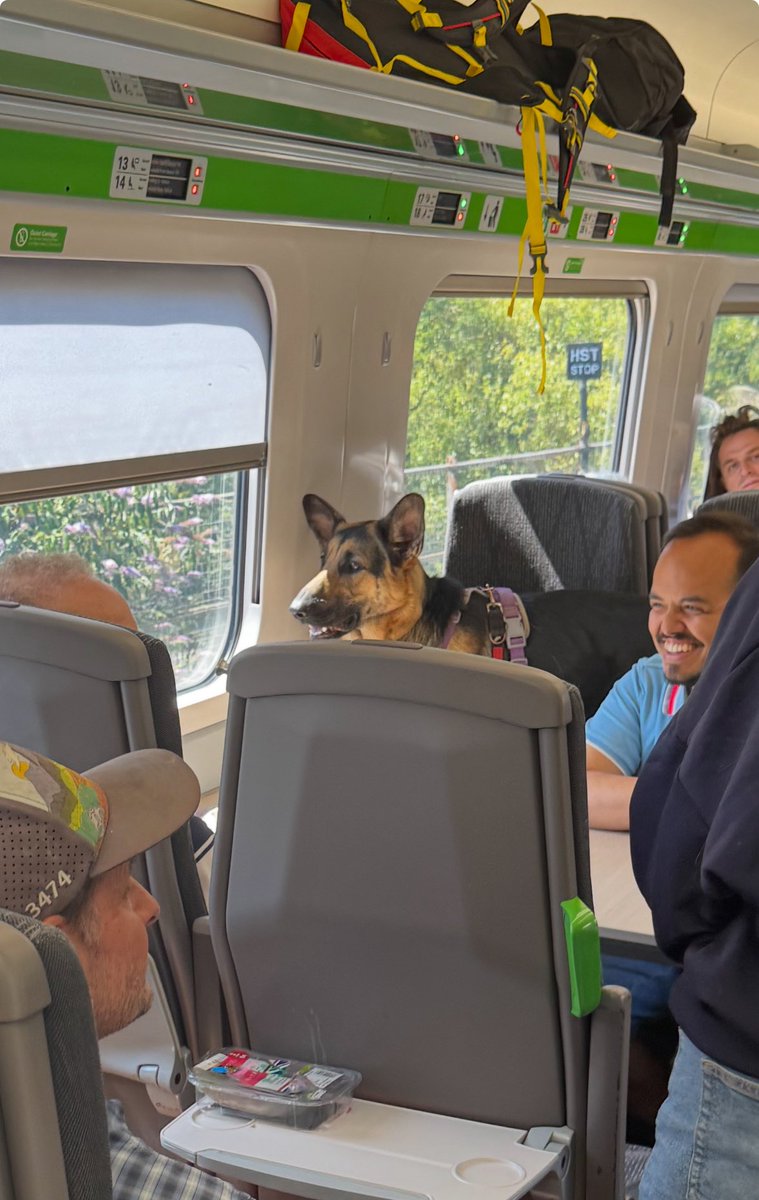 john_actuary's tweet image. Travelling back from London to Bristol this morning on a late running sardine packed @GWRHelp service as the one before and one after are both cancelled. I’ve thought for a while the service is going to the dogs, but this just confirms it. 😡