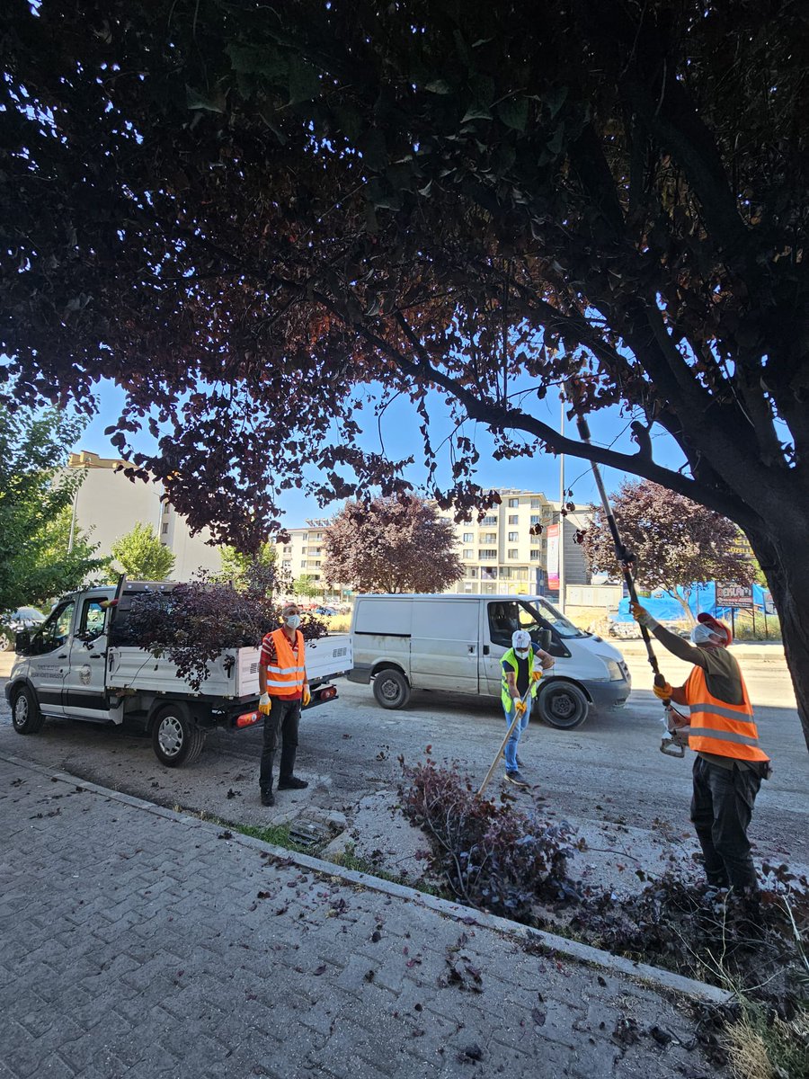 Tunceli Belediyesi (@tuncelibel62) on Twitter photo 🌳 Sadece Yol Değil, Gelecek İçin de Çalışıyoruz
📍 Muhlis Akarsu Caddesi’nde devam eden yol yapım çalışmaları kapsamında, yol kenarındaki ağaçlarda budama işlemleri gerçekleştiriliyor.
🚧 Sadece asfalt dökmekle bitmiyor. Yol çizgisi, altyapı, peyzaj ve çevre düzenlemeleriyle 🌳 Sadece Yol Değil, Gelecek İçin de Çalışıyoruz
📍 Muhlis Akarsu Caddesi’nde devam eden yol yapım çalışmaları kapsamında, yol kenarındaki ağaçlarda budama işlemleri gerçekleştiriliyor.
🚧 Sadece asfalt dökmekle bitmiyor. Yol çizgisi, altyapı, peyzaj ve çevre düzenlemeleriyle