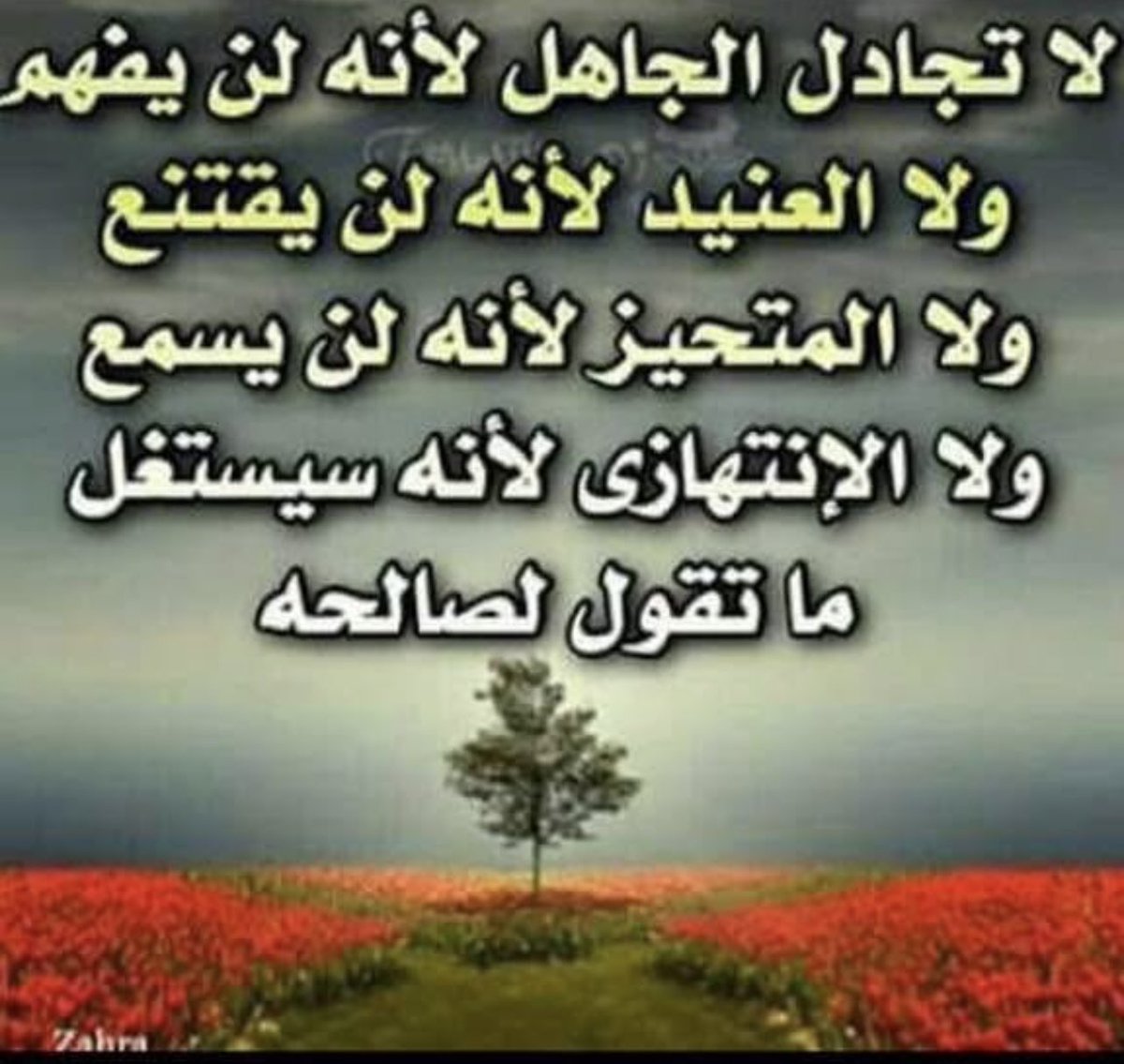 المعز لدين الله الفاطمي (@apqtp) on Twitter photo 