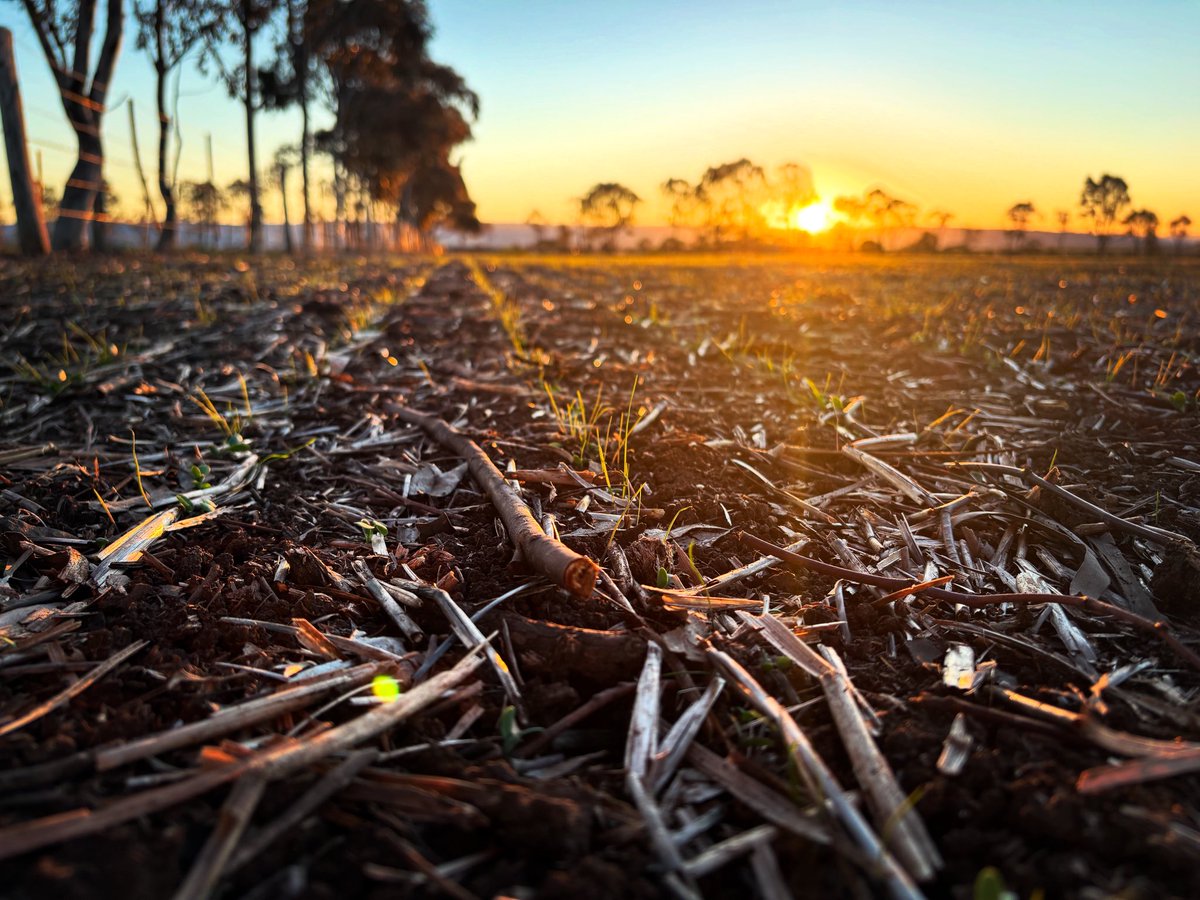 Adam Williamson tweet media