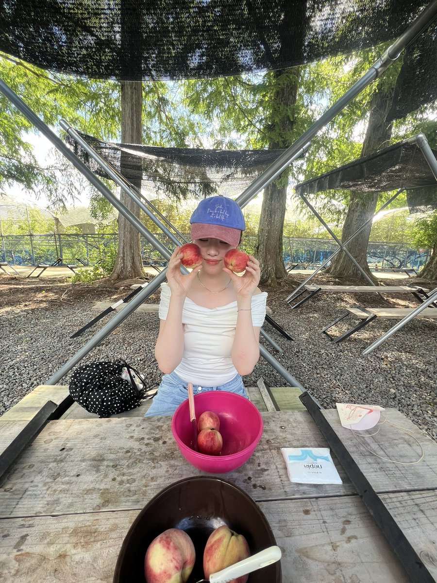 mimemn3's tweet photo. 広島で桃とすもも食べ放題🍑🍑🍑🍑 https://t.co/0BXNClI0D8
