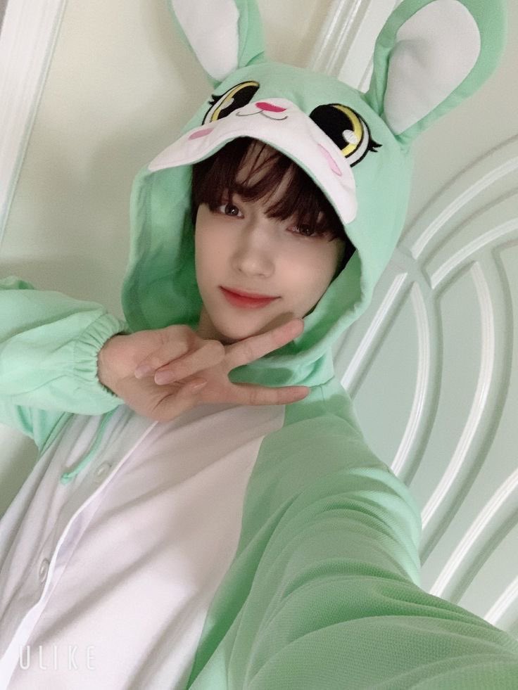 휴닝 라부부 모으기