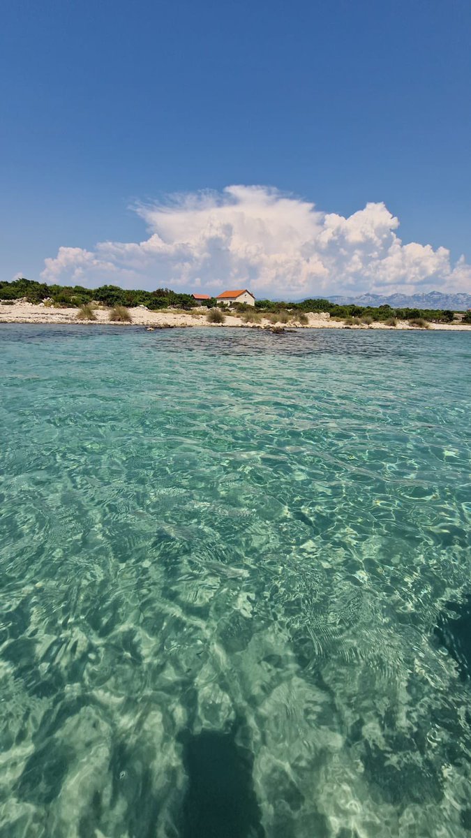 Bojchi1's tweet image. Dobro jutro!☕️🐬🐠🌴🐚🪸🌲
Da malo odmorim mozak od ove crnine koja nas okružuje
Nedjelja ! Ko putuje 
Sretan put !🙋🏻‍♀️