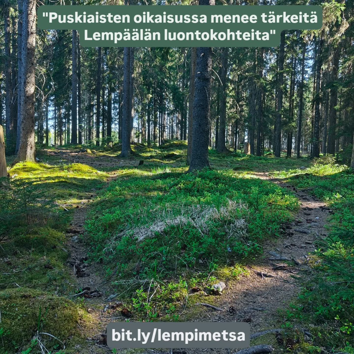 "Puskiaisten oikaisussa menee tärkeitä Lempäälän luontokohteita"

bit.ly/lempimetsa

#LemPiMetsänPuolesta
#PelastaLähimetsät
#EiPuskiaistenOikaisua
#EiPuskiaistenMoottoritietä