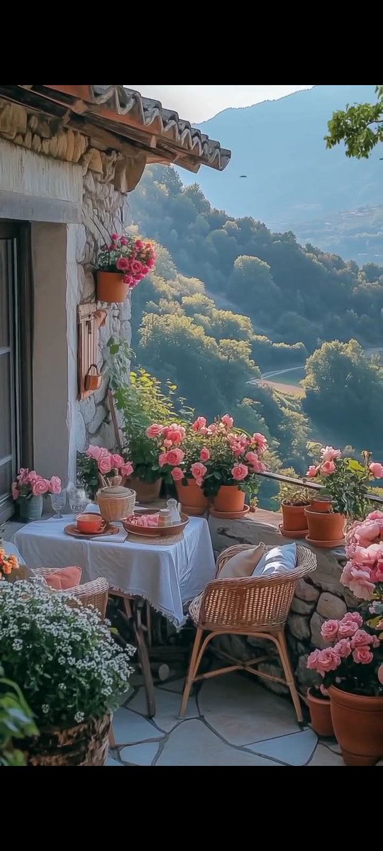 Good morning my friends happy Sunday 
🌿💜⚘️☕️🌹🦋🤍🐈☂️🍁