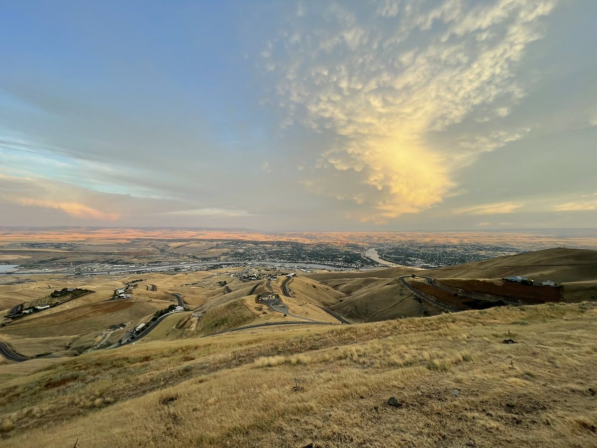 Matthew Schirmer tweet media