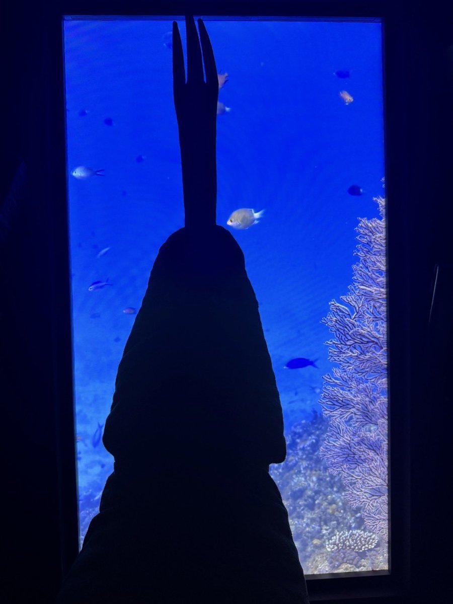 Eiichiro_Staff's tweet photo. ゴゴゴゴ...

#ONEPIECE https://t.co/iZhZNM0f0y