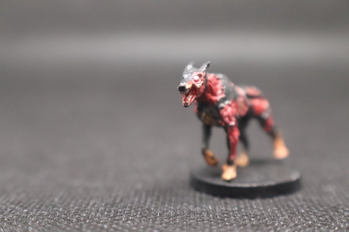 Keelan Grace tweet media