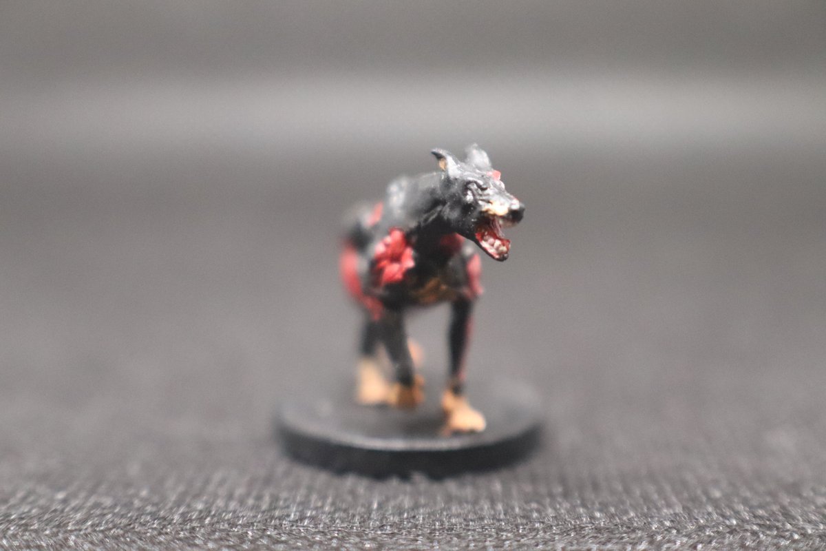 Keelan Grace tweet media