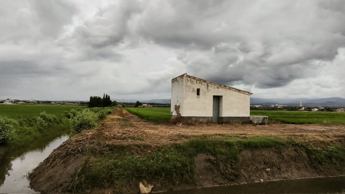 "el matí, llum incerta, es desfulla, tèrbol..."

Zoraida Burgos i Matheu 
(Tortosa 1933)

(per terres de l'Ebre, amb camps d'arròs 🥀)