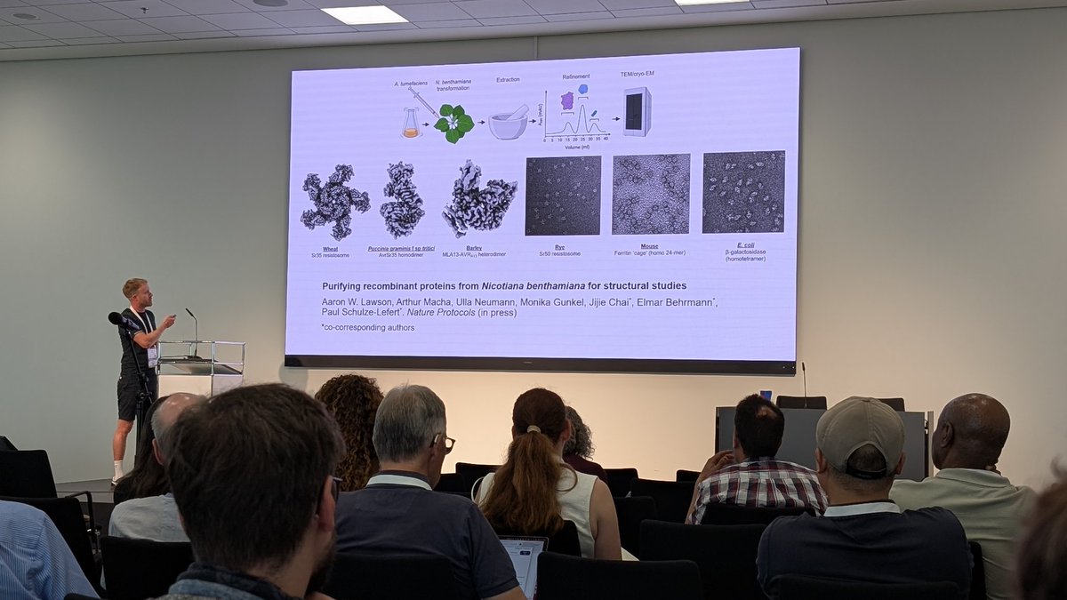Aaron Lawson - Up and coming protocol for recombinant protein complex expression (powdery mildew MLA-Avr) using Nbenth #2025ISMPMI