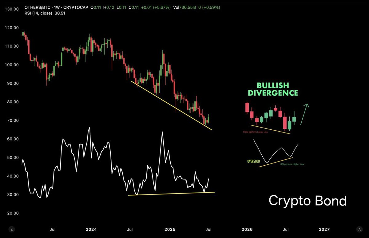 #Altcoin'lere boğa piyasası geldi sabırlı olun!