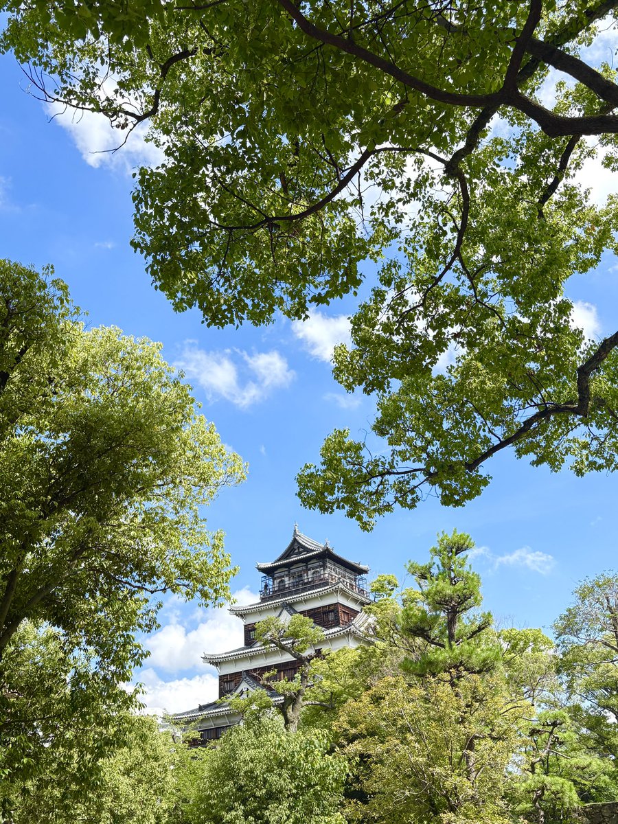 tarusuke_beam's tweet image. 広島ハイライト