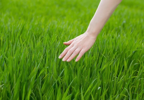 chenaorui9566's tweet photo. @opensea #openseatouchgrass https://t.co/hIUbrlr9zR