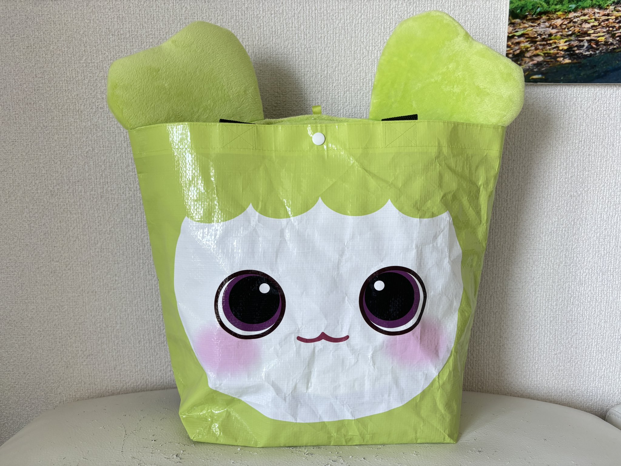 きぃ🐰🧲🐶 on X: 