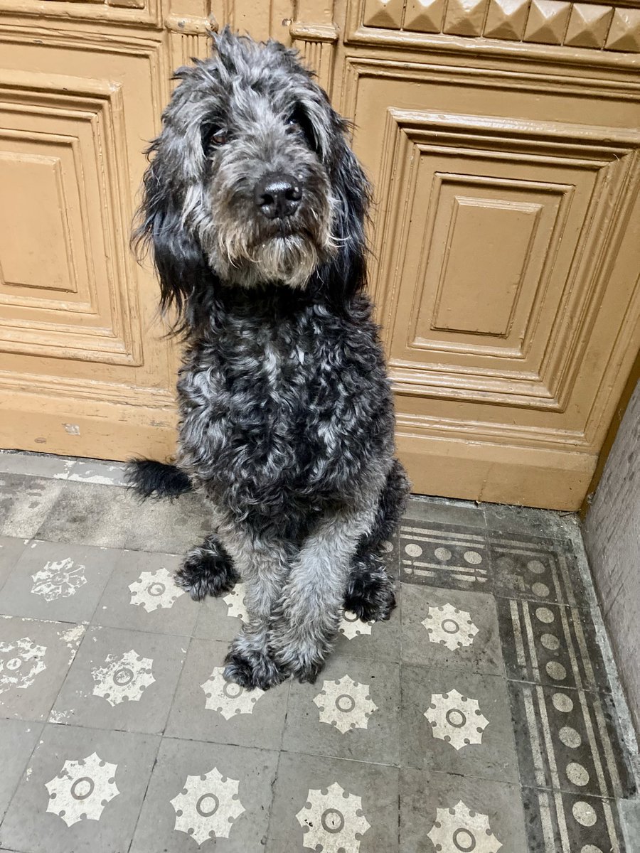 Hans Huett tweet media