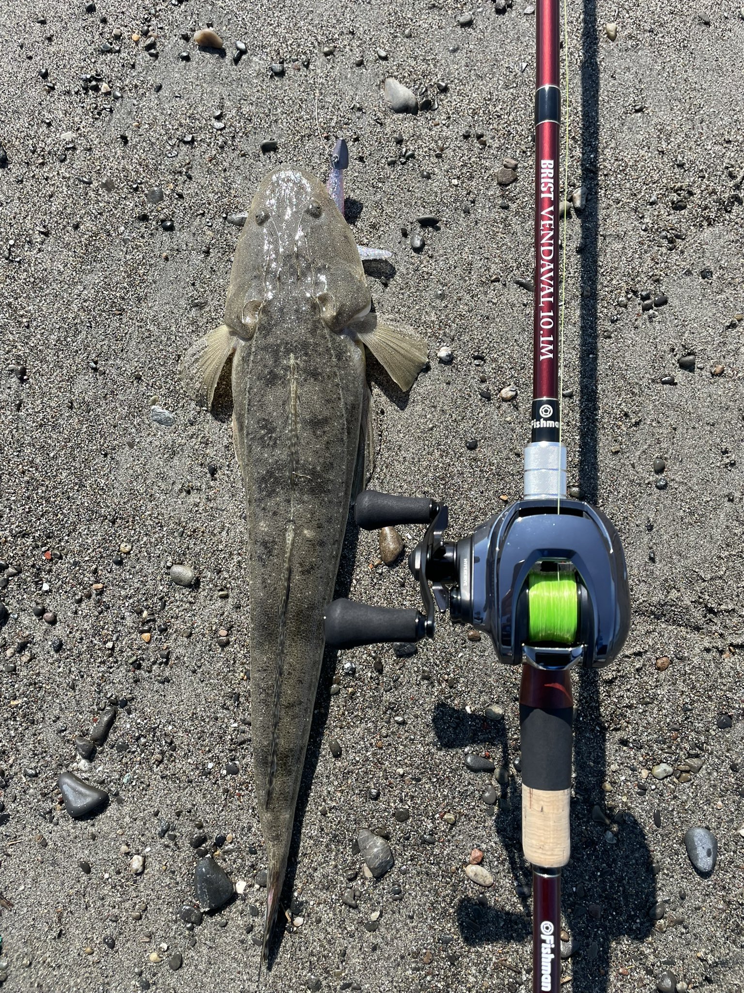 247fishing club boss (@247fishingclub) / X