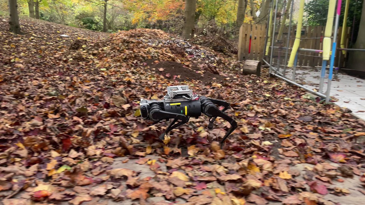 ifantasysoft's tweet photo. AI learns from animals! New AI allows four-legged robots to autonomously navigate tough terrain by switching gaits. Imagine the possibilities for search &amp; rescue! #AI #Robotics #Innovation https://t.co/bGAIdoPkEl https://t.co/At8yheNGzN