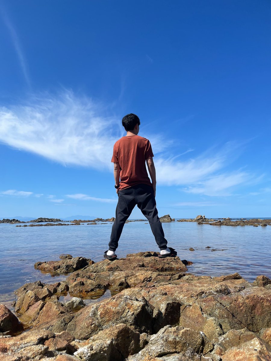 須藤くん 【ひまわり公式】 tweet media