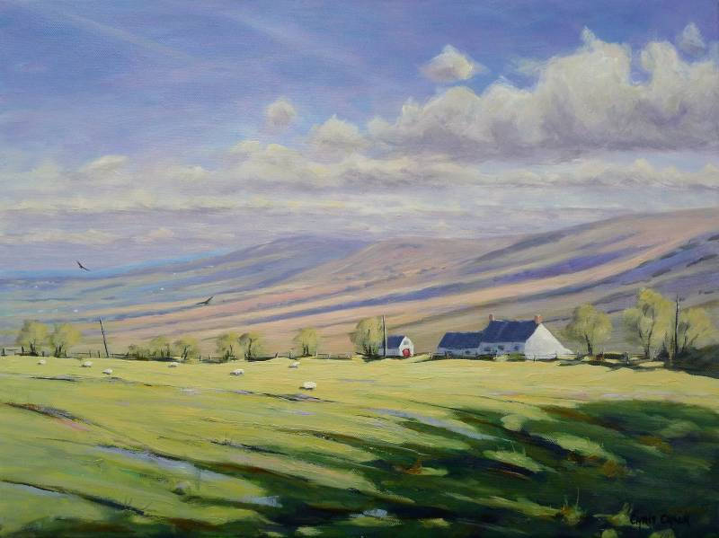 'Across the Preselis', oil - In the distance there is Foel Drygarn and Frenni Fawr, two of Pembrokeshire National Park's popular walking hills. The Preselis rise to 536m above sea level, and are located in the northern half of Pembrokeshire. #Wales #welshart