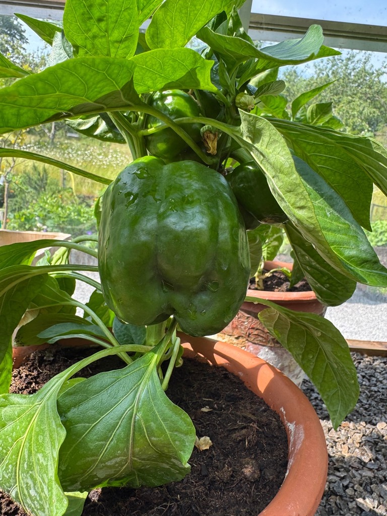 MiddletonLodgeEstate tweet media