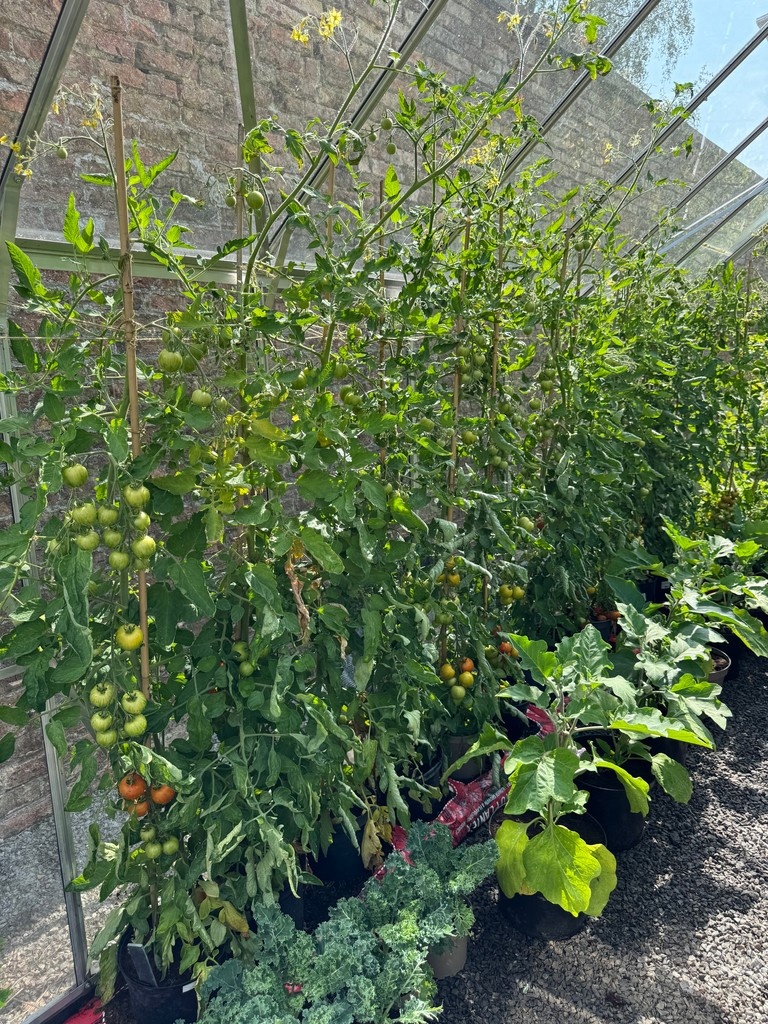 MiddletonLodgeEstate tweet media