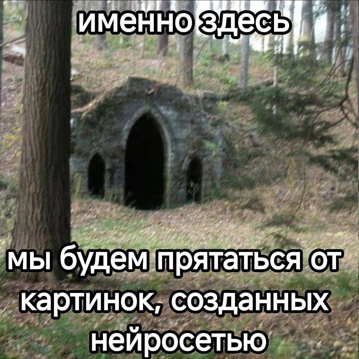 Дантес (@dantesdmitriy) on Twitter photo 