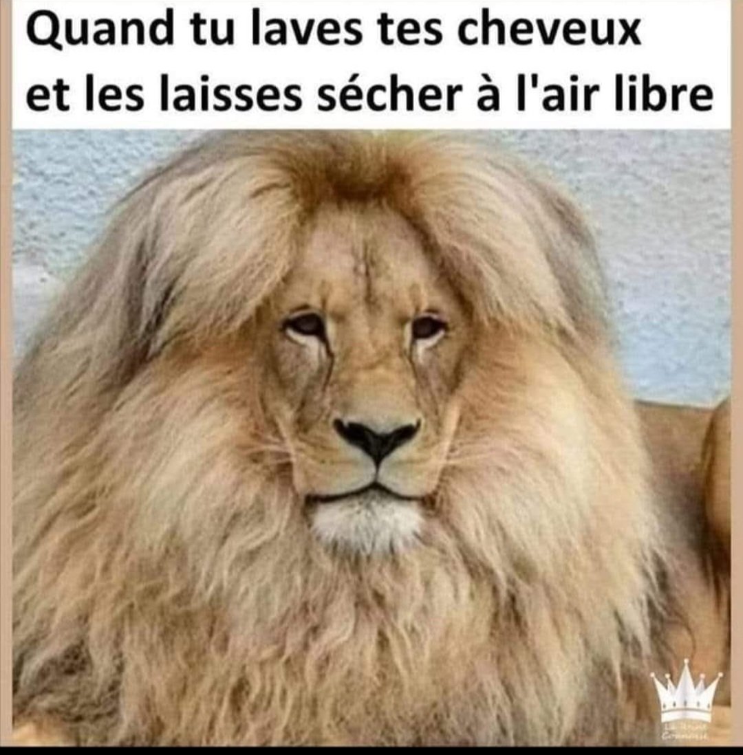 🔪𝕃𝕠𝕝𝕚ta 🎲 𝕃𝕠𝕝𝕚𝕥𝕒 👠 tweet media