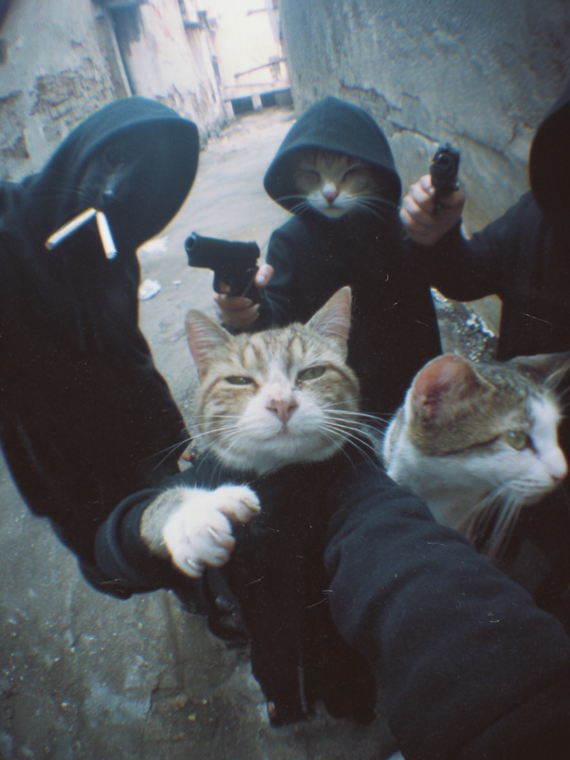 Mini Archillect (@miniarchillect) on Twitter photo 