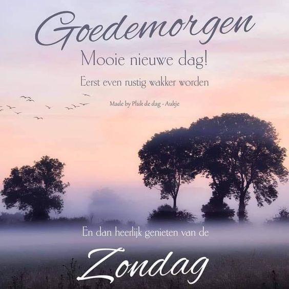 Goeiemorgen ☕ lieverds 🍀
Heb een schitterende zondag vandaag 😉