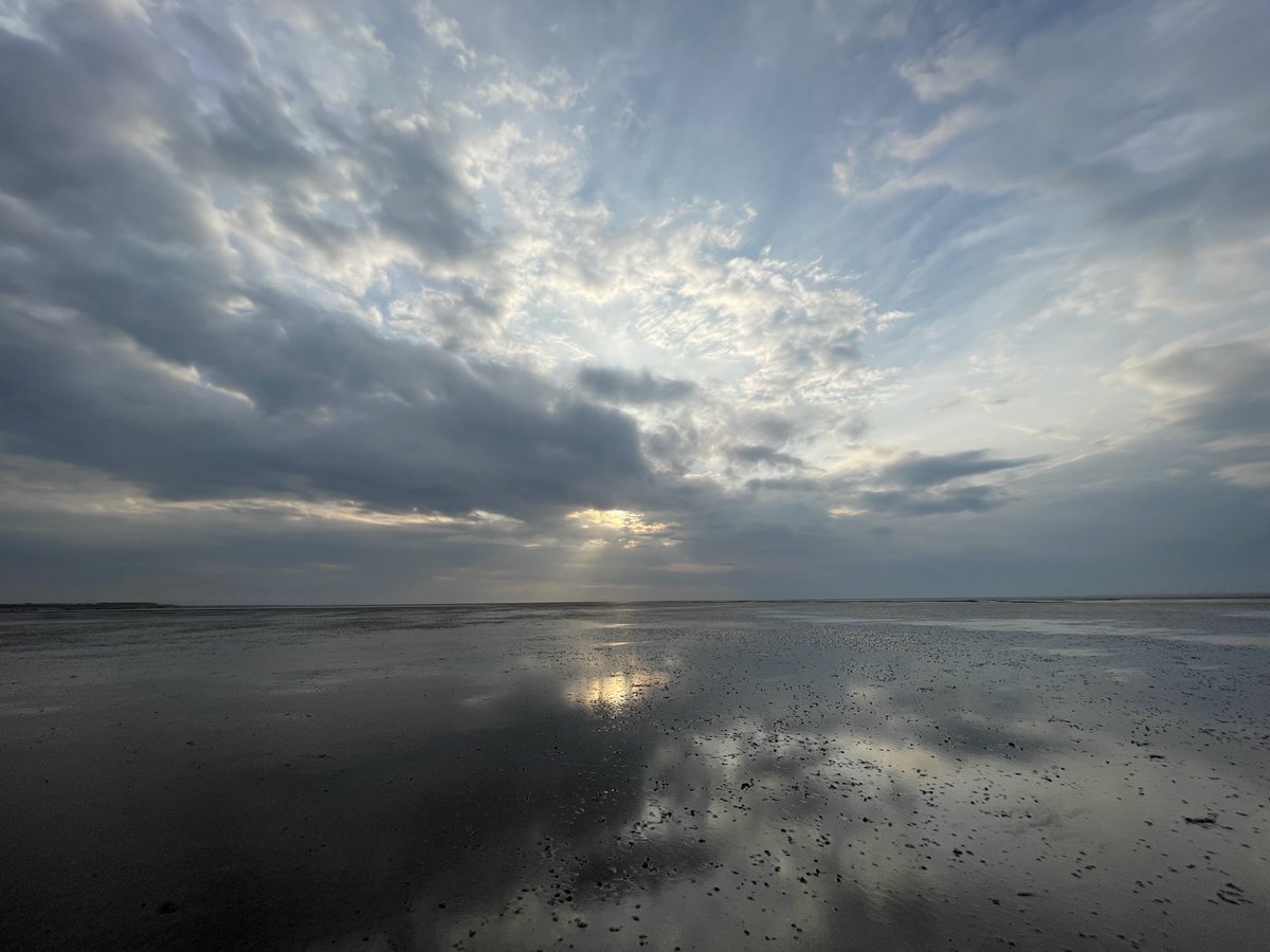 Gisteravond voor het eerst wezen wadlopen. Bijzondere ervaring.