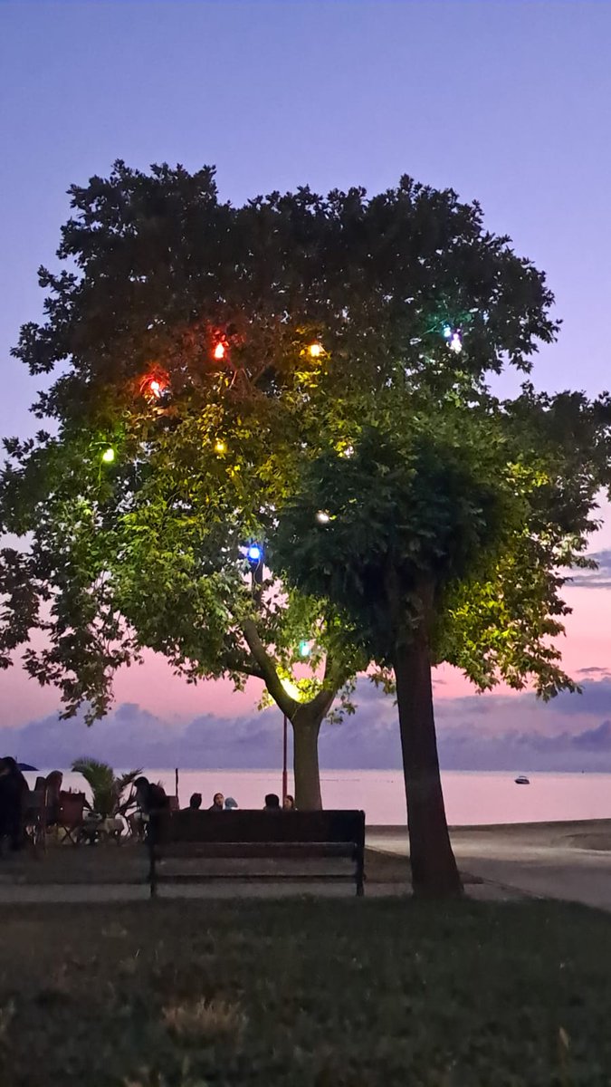 Her şeye çabalıyor insanoğlu.
Bunca derdin arasında küçük bir mutluluğu yakalamaya çalıştığı gibi..
#Pazar
#Edebiyat