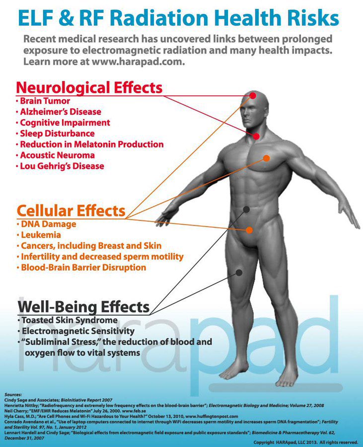 EMFRebel's tweet image. Wireless radiation is frying us with a quintillion times more radiation than natural background levels. That is a million million million.
"The industry is trying to bury the science."
- Frank Clegg, former Microsoft executive
#5G #ParentingTips #FitnessTips #EHS #EV…
