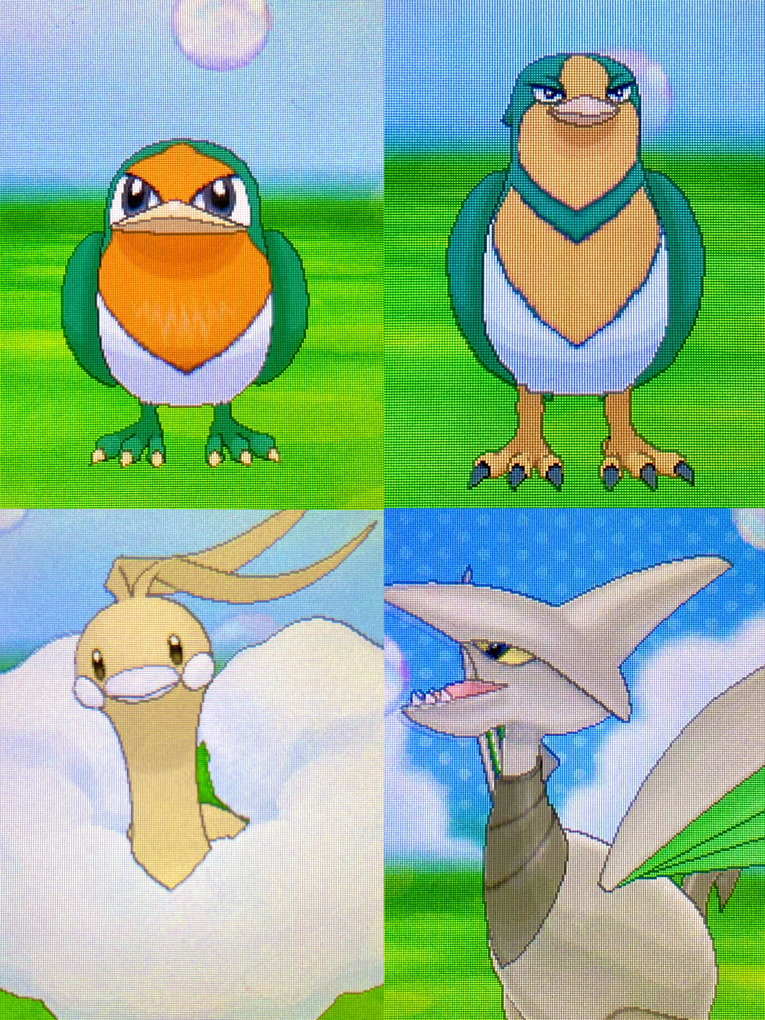 ポケモン X アルファサファイア サン $_12.JPG?set_id=880000500F