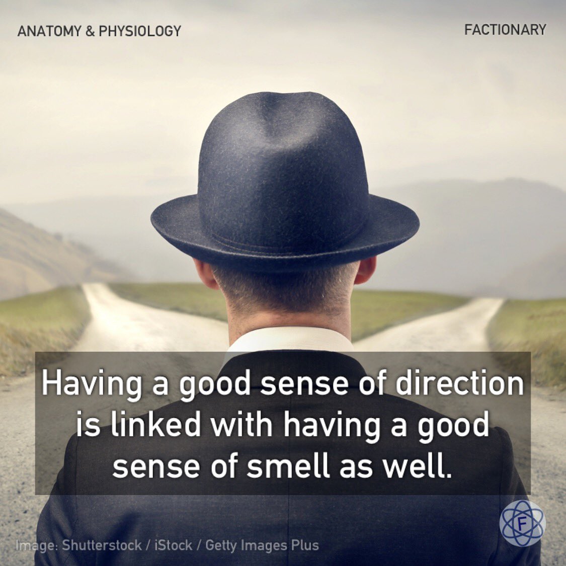 TFactionary's tweet image. Having a good sense of direction is linked with having a good sense of smell as well.
Read more on The Factionary. Link 🔗 below.
#anatomyandphysiology #brain #spatialmemory #direction #navigation #olfaction #facts #Factionary
wp.me/pba8gQ-H2