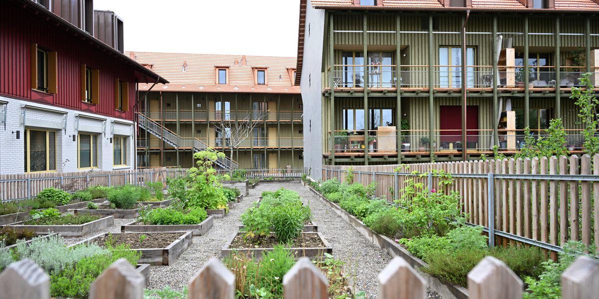 Die Eigenheimbesitzer machen in der Schweiz zwar nur 36 Prozent der Haushalte aus – stimmen aber fleissiger ab als die Mietenden. Was das für den umstrittenen Urnengang im September bedeutet. tagesanzeiger.ch/abstimmung-eig…