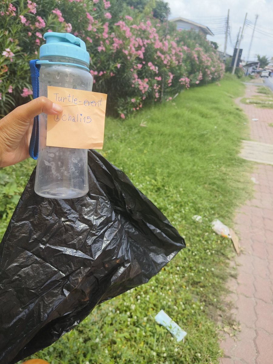 BeautyFree7's tweet photo. On Turtle Event in Discord
It's Fun 😊 but hell hot 🔥🥵 😂😂
Beautiful scenes 💐 🤩 😍 
Just a bit garbage around was not ok 😹😄 earn more on #TurtleLabsV
#Bubbles2Earn  @TurtleLabsV 
@Bubbles2Earn https://t.co/8WBafPJUeg
