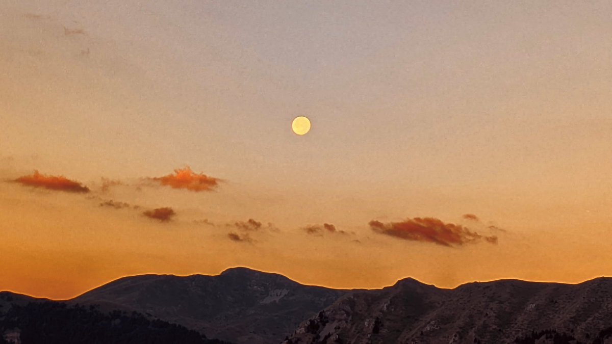 Σιγά μωρέ, τι περιμένεις να δεις στο Καρπενήσι.

📷︎