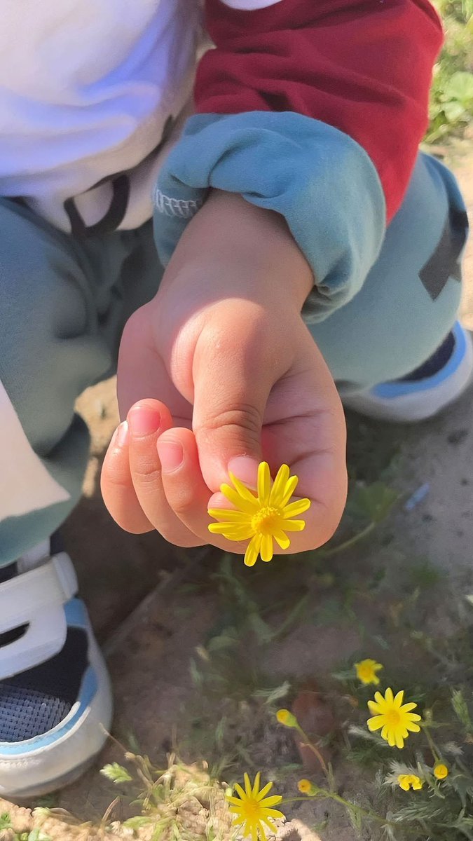🌼🍃

اللهم جبراً وراحةً تنشر السكينة والطمأنينة
في صدورنا ..

#صباح_الخير 
 #𝓦𝓐𝓐𝓓