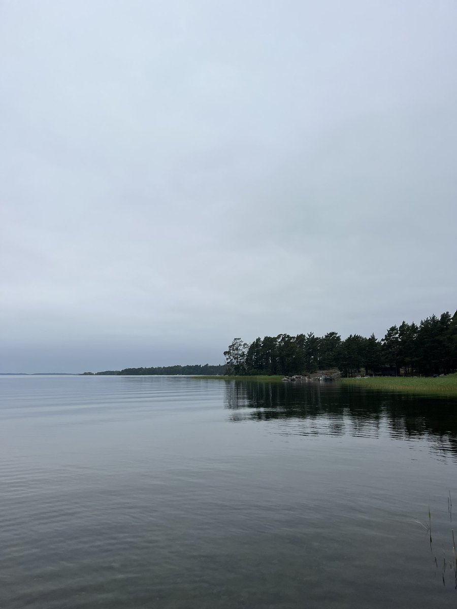 Even when there is no sun in the Stockholm archipelago, it still shines ☀️🌊🇸🇪