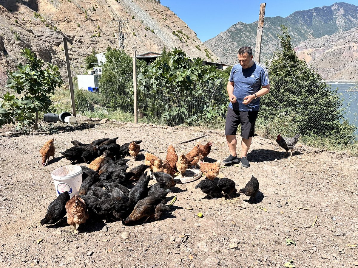 Halil_Hasar's tweet image. Yumurtasız kahvaltı mı olur…