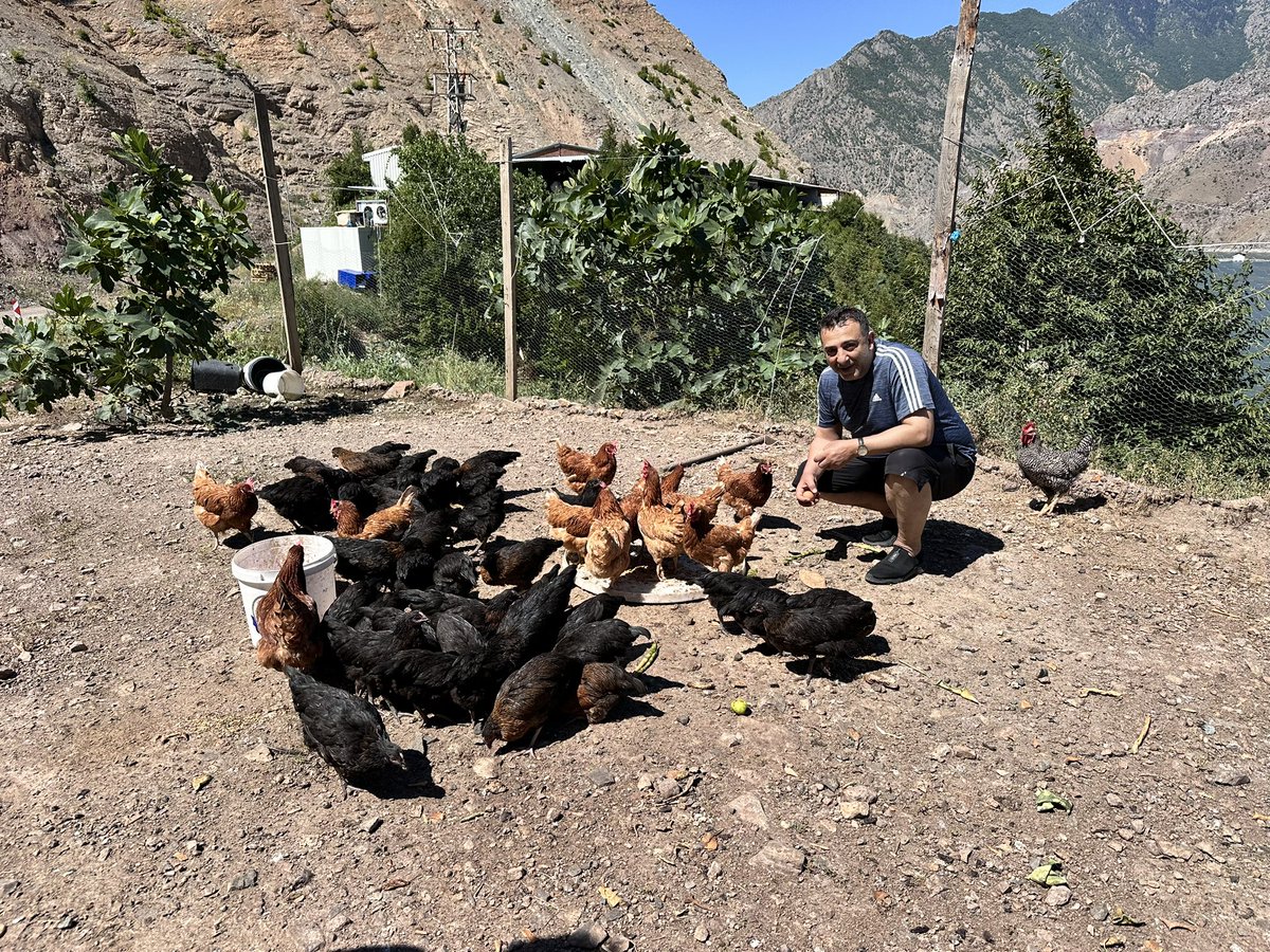 Halil_Hasar's tweet image. Yumurtasız kahvaltı mı olur…