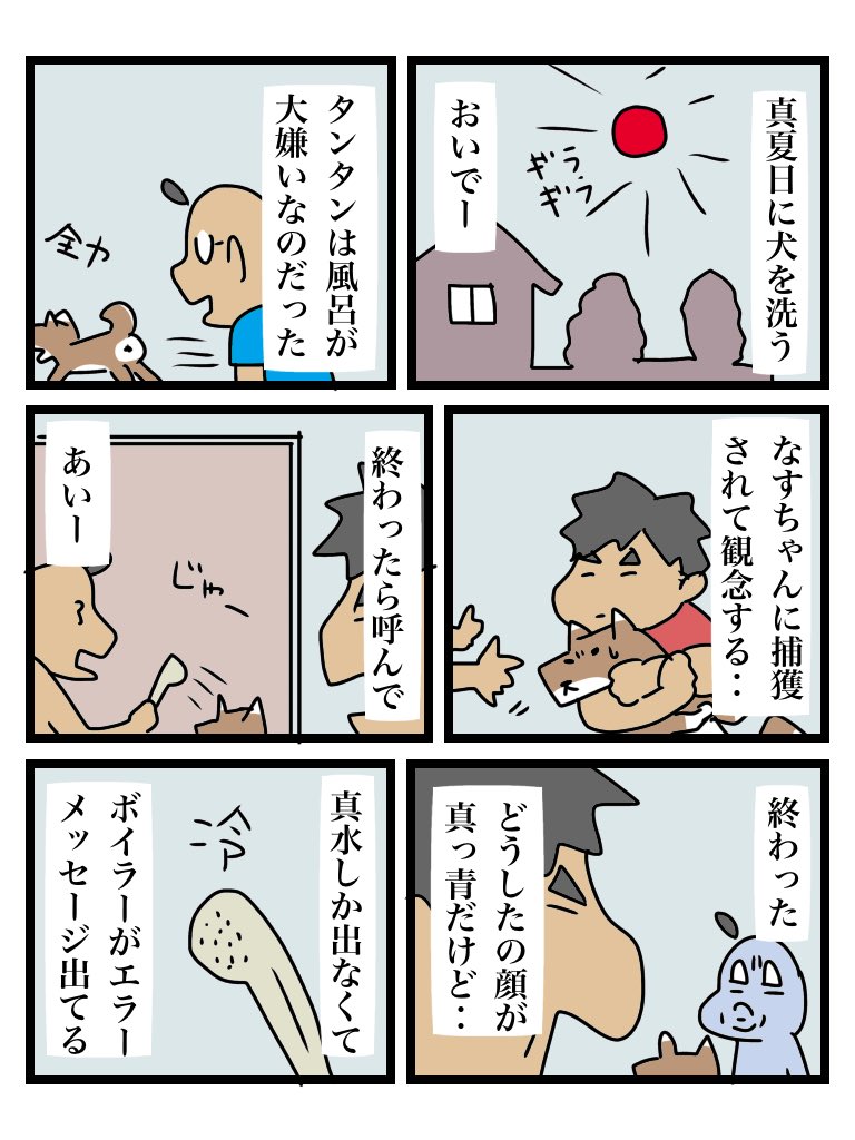 犬を洗って毛刈りをしました 