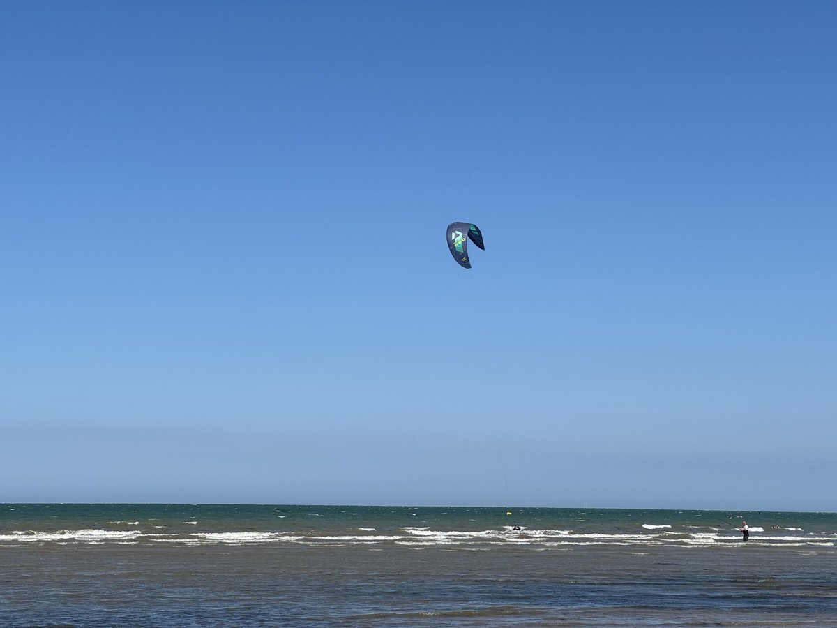 Alexandra tweet media