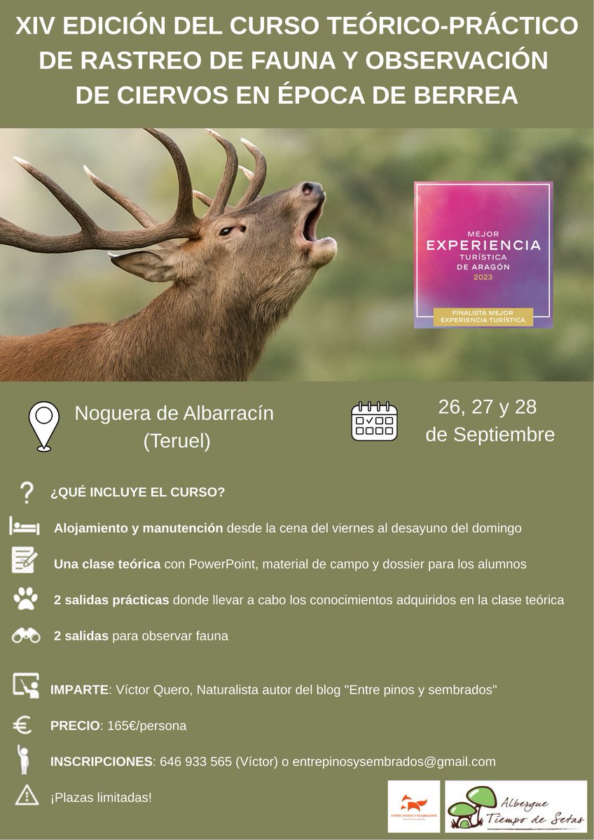 📢📢¡¡NUEVO CURSO!!📢📢

XIV EDICIÓN DEL CURSO TEÓRICO-PRÁCTICO DE RASTREO DE FAUNA Y OBSERVACIÓN DE CIERVOS EN ÉPOCA DE BERREA

TIienes toda la información aquí: entrepinosysembrados.blogspot.com/2025/07/xiv-ed…

¡Os espero!