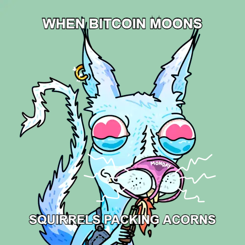 WHEN BITCOIN MOONS / SQUIRRELS PACKING ACORNS <a href="/adderrels/">Adderrels</a> #BRC20 #AdderFi