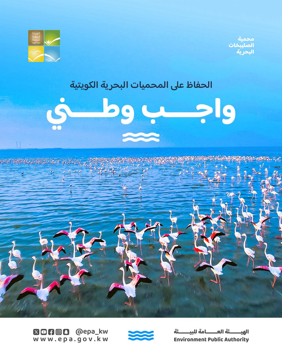 وفقاً لقانون #حماية_البيئة رقم 42 لسنة 2014 :
- يمنع صيد أو الإتلاف أو الإضرار بأي كائن داخل حدود المحميات البحرية .
- يحظر إلقاء أي نوع من أنواع النفايات داخل المحميات البحرية.
- يطبق القانون على المخالفين بالغرامات و الإجراءات القانونية اللازمة. 

للإبلاغ عن أي تجاوز بيئي بحري،