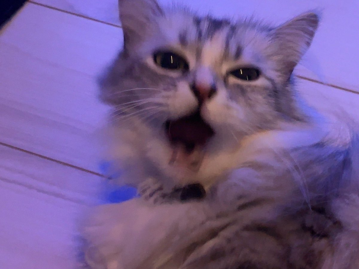 𝔎𝔎𝔎 (@kuu_kkk_kuu) on Twitter photo 